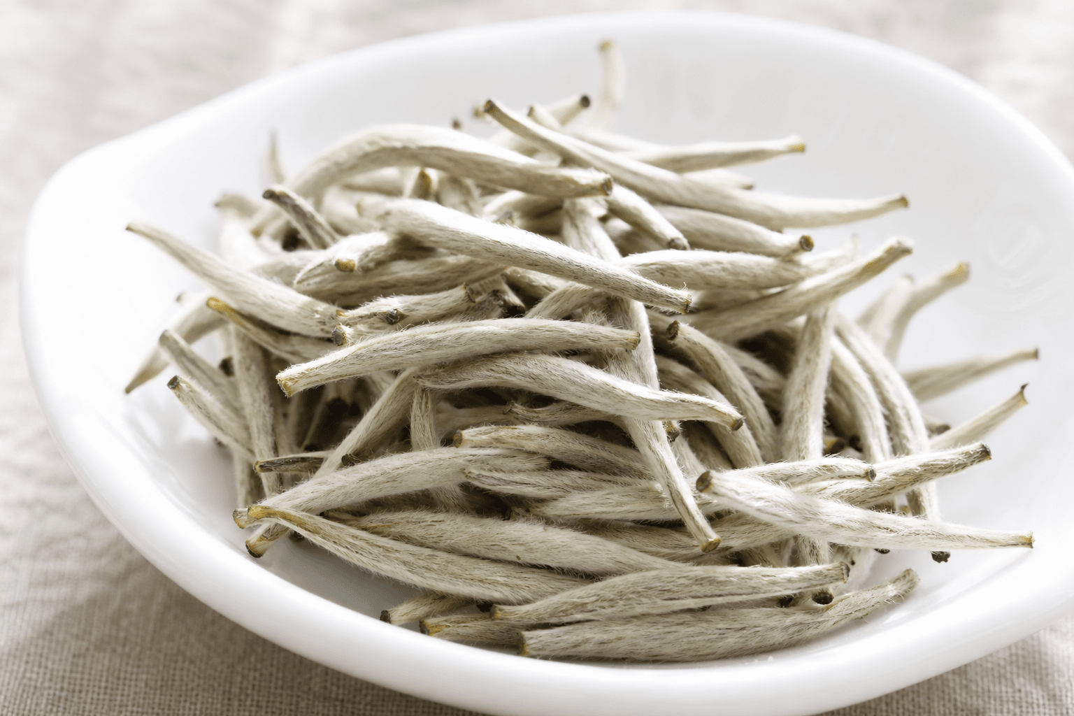 Fujian White Tea Gardens